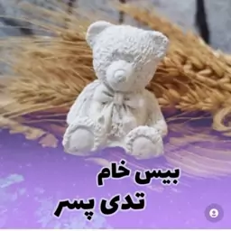 بیس خام  تدی پسر 