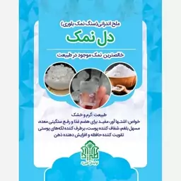 دل نمک بلوری طبرزد 800گرم (عدسی)