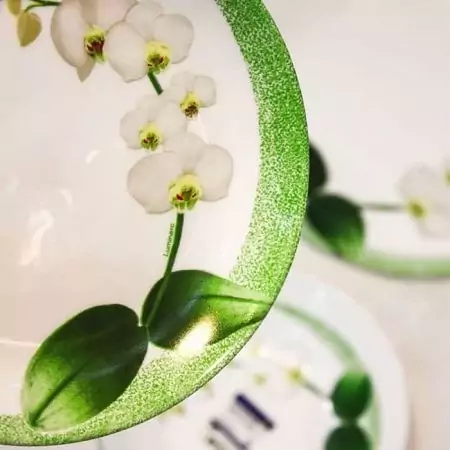 سرویس غذاخوری 26 پارچه لومینارک طرح Orchid رنگ سبز