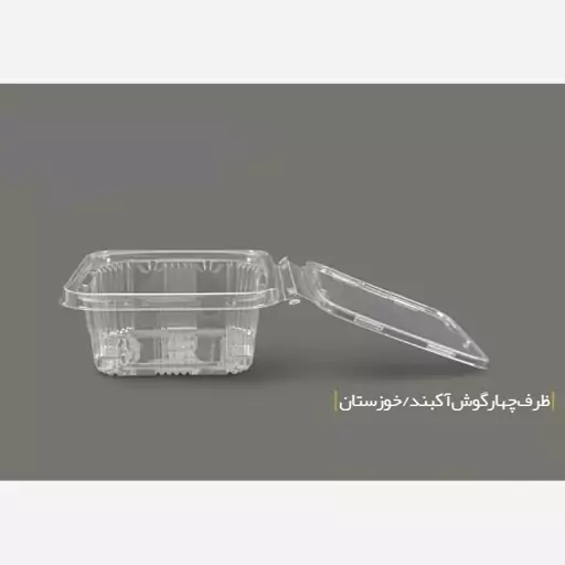 ظرف بسته بندی دلی چهارگوش آکبند 700 سی سی  ،200 عددی