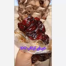 خرمای کبکاب کارتن شیره دار ده کیلویی در کارتن  ده کیلویی خرما خدمت شما ارسال می گردد