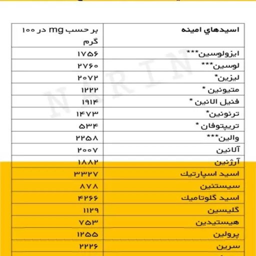 پودرسفیده تخم مرغ شکلاتی البومین 1000 گرمی p