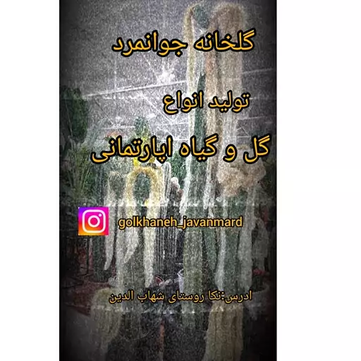 اگلونما برفی 