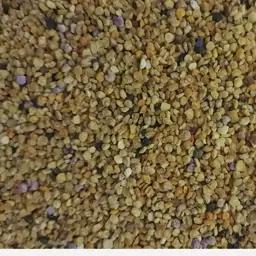 گرده گل( 100 گرمی )کوهستان اذربایجان(مستقیم از زنبوردار)بدون واسطه