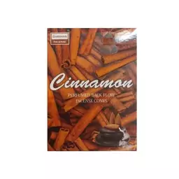 عود آبشاری (مخروطی) دارچین (Cinnamon) برند دارشان (DARSHAN)