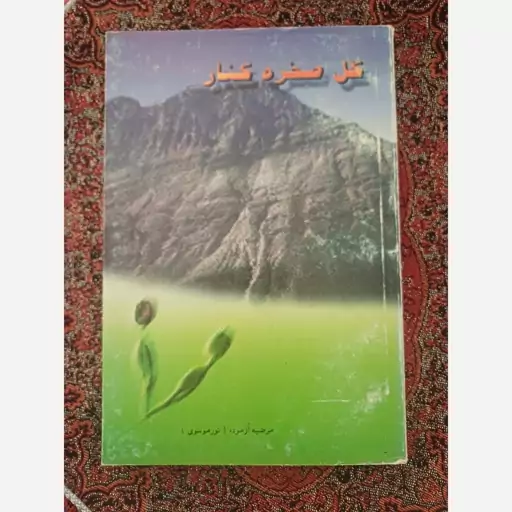 رمان گل صخره کنار