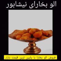 ایمان مرشدلو