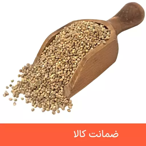 شاهدانه خام درجه یک 500 گرمی