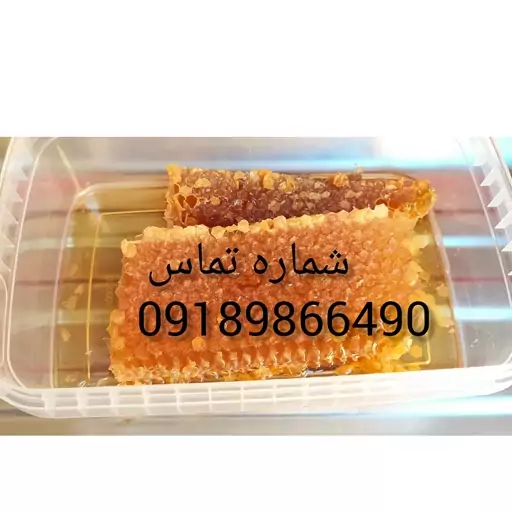 عسل کوهی و ارگانیک کردستان . کاملا دارویی 