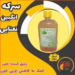 شربت سرکه انگبین نعنایی در غرفه بهار نارنج 