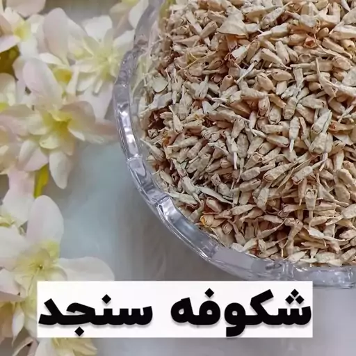 شکوفه سنجد خالص 40 گرمی 