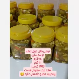 ترشی مخلوط خانگی با عطر و طعم بینظیر در سه وزن 