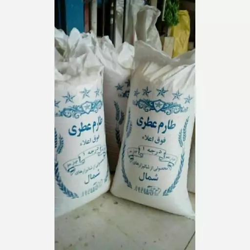 طارم عطری شمال