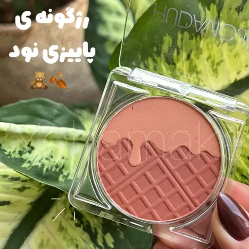 رژگونه پودری 