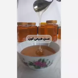 عسل گون