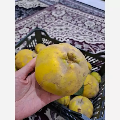 چای به (دمنوش)خانگی 100 گرم تف داده شده. رنگ روشن. 