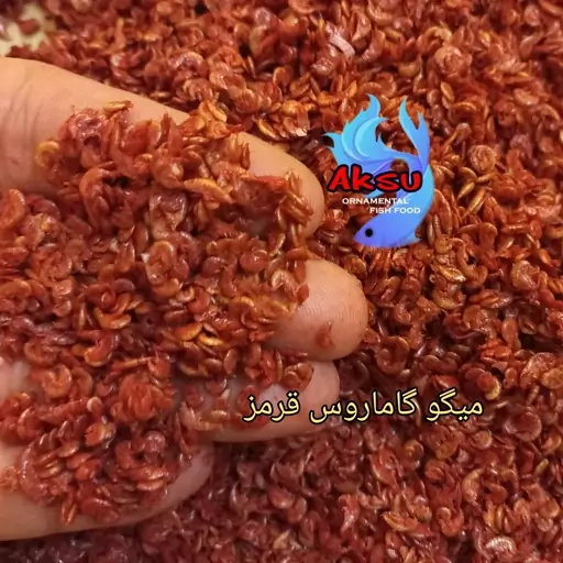 میگو گاماروس قرمز 10 گرمی غذای تقویتی ماهی گیاه خوار و گوشتخوار