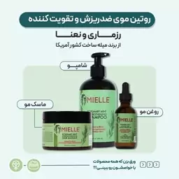 روتین تقویت کننده مو میله آمریکایی  