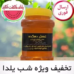 عسل گون  آویشن یک کیلویی(ارسال فوری)(مستقیم از زنبوردار)