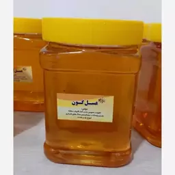 عسل طبیعی گون از اشن 