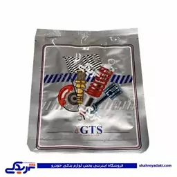 کاسه نمد عقب میل لنگ 206 تیپ 5 GTS 