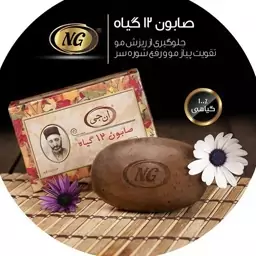 صابون 12 گیاه موی سر ان جی اورجینال مدل NG Herb وزن 100 گرم

