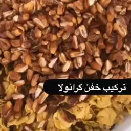 مکمل گرانولا کاملا ارگانیک 