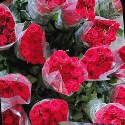  گل رز بسته بیست تایی طبیعی 