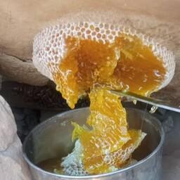 عسل صخره زنبور ریز بسیار خوش طعم و لذیذ درجه یک به شرط و ضمانت مرجوعی