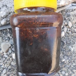عسل کوهی سیاه ویرانگر اول  در قدرت سرعت توان بخشی بسیار قوی به شرط و ضمانت مرجوعی نیم کیلویی