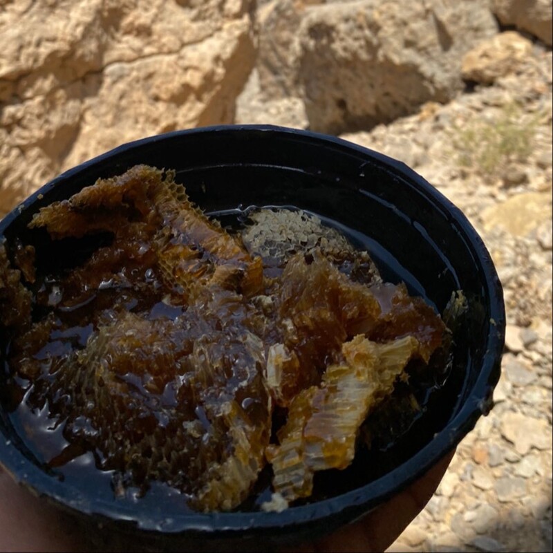 عسل قله وحشی صخره کوهی وحشتناک قوی نایاب بر فراز قله عسل قله بی رقیب قوی ترین آنتی اکسیدان  اثرگذاری فوری یک کیلو