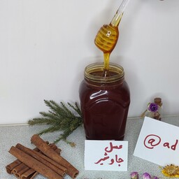 عسل طبیعی جاوشیر ساکارز پایین تضمینی(نیم کیلو)