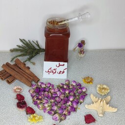 عسل طبیعی عسل کوهی ارگانیک عسل دیابتی تضمینی با برگه آزمایش ساکارز2 (یک کیلوئی)
