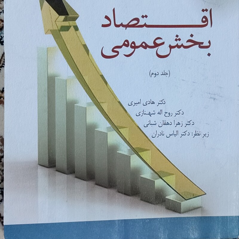کتاب اقتصاد بخش عمومی جلد دوم دکتر هادی امیری 313 صفحه وزیری