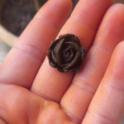 گل رز کوچک حنایی