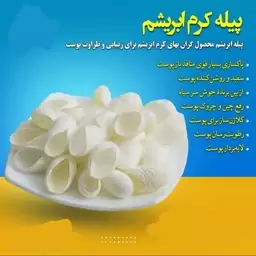 پیله ابریشم 