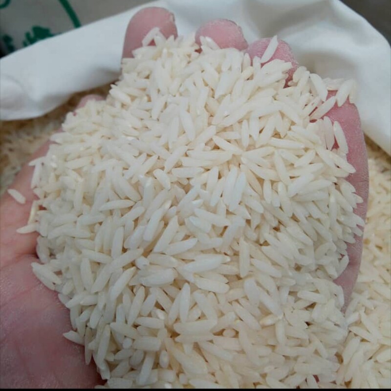 برنج هاشمی درجه یک امساله
