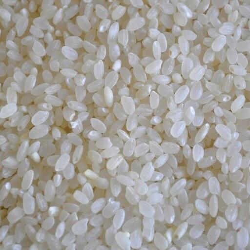 برنج سوشی ژاپنی (کشت ایران)  500 گرم