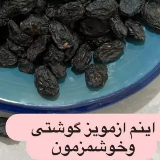 مویز شانی مویزمحلی