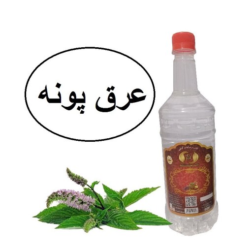 عرق پونه سنتی یک لیتری  زینت بهار کاشان( خرید مستقیم از تولید کننده)