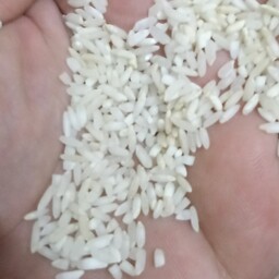 برنج محلی یاسوج ( 5 کیلویی)(کاشت با کود حیوانی)
