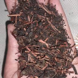 چای خشک قلم درجه3 ارگانیک ومعطرمعین محصول باغات سرسبزسرچشمه لاهیجان
