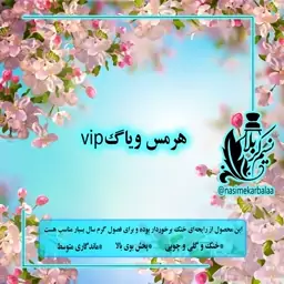 عطر  هرمس ویاگ وی آی پی درجه یک بسیار خوشبو(یک گرم)