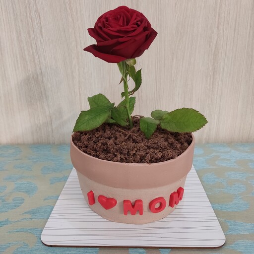 کیک خانگی گلدان روز مادر( گل طبیعی) وزن یک کیلو و نیم