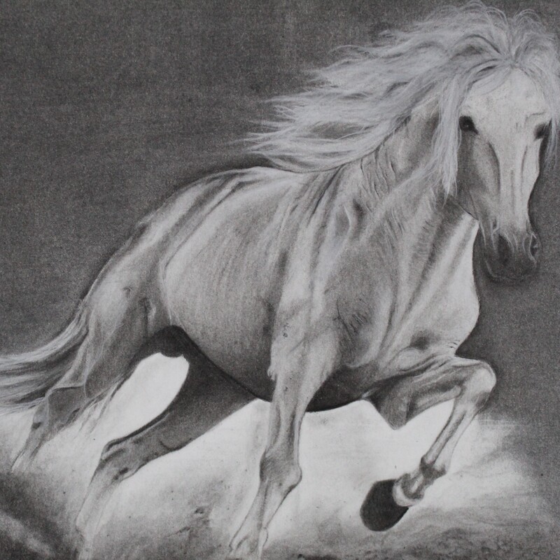 تابلو نقاشی اسب سفید سیاه قلم