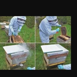 کنه کش کنه کشی زنبور دفع حشرات اگزالیک اسید یک کیلو گرم