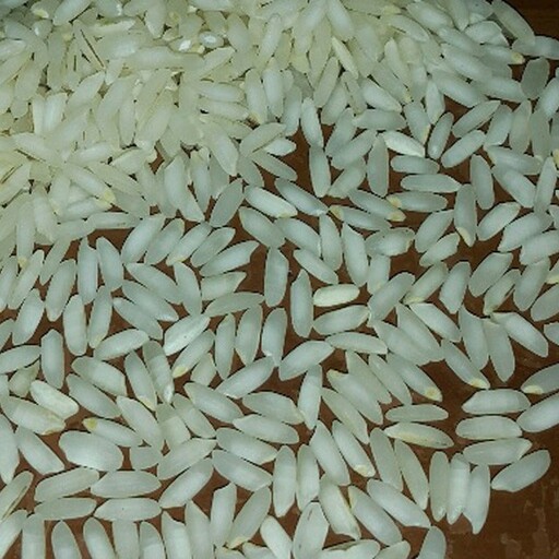 برنج عنبر بو جنوب درجه یک اعلاء اهواز