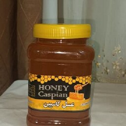 عسل طبیعی کاسپین گون 1 کیلویی برداشت سال 1401 مازندران، بدون افزودنی