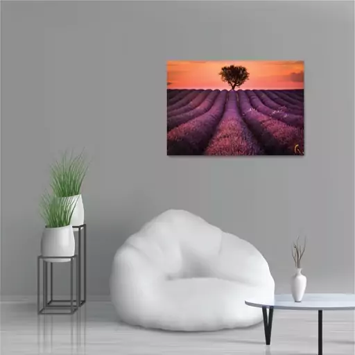 تابلو شاسی طرح دشت لاوندر Lavender Photography مدل NV0819