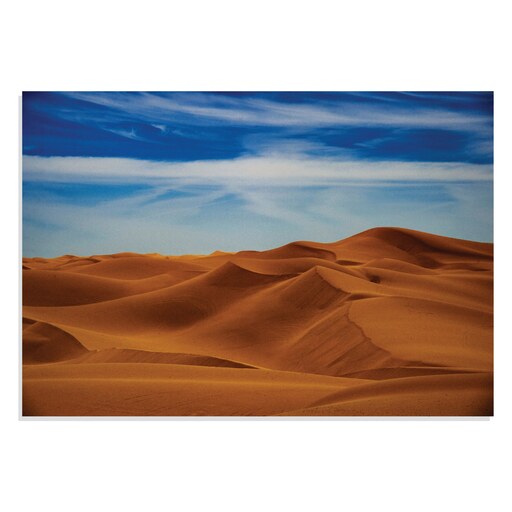 تابلو شاسی طرح روز آفتابی در بیابان Sunny Day in Desert مدل NV0870